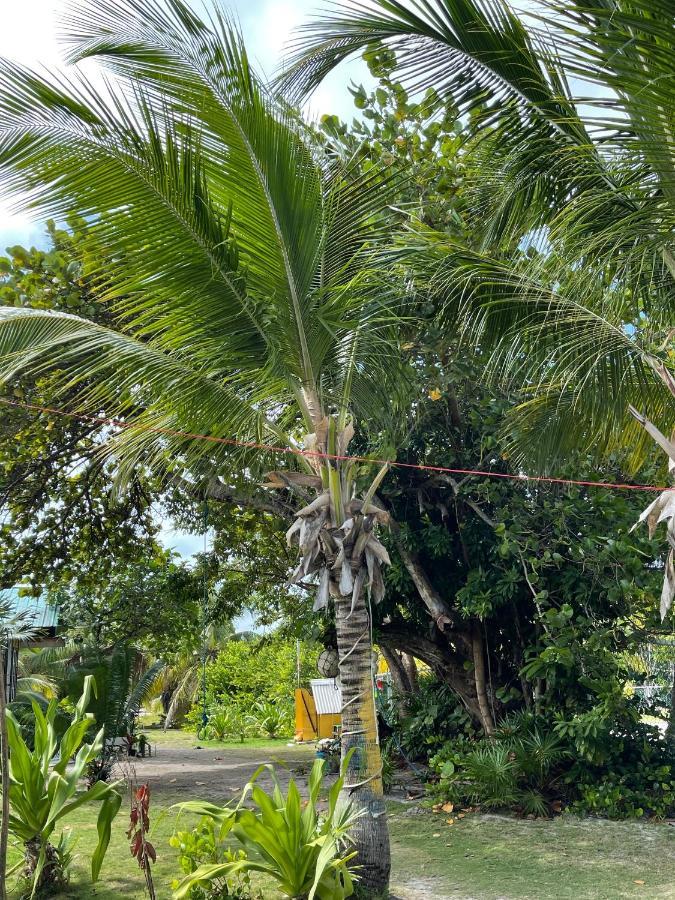 The Novelo Hotel Caye Caulker Exterior photo