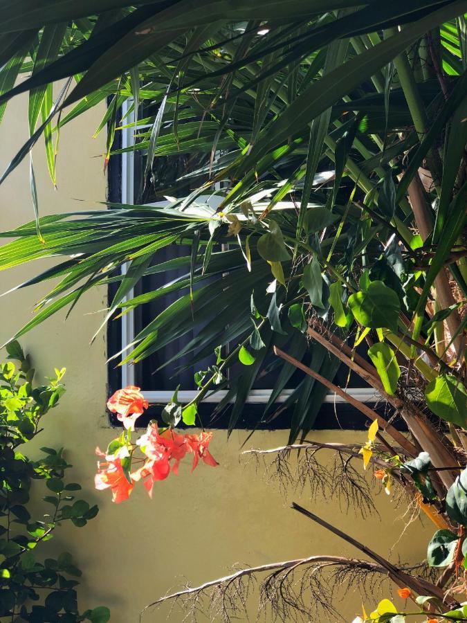 The Novelo Hotel Caye Caulker Exterior photo